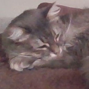 Meet your Posher, Elle